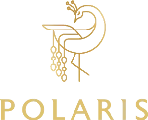 Excellaa Polaris Bavdhan Logo Image